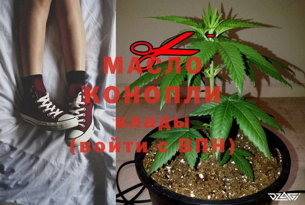 мдпв Инта