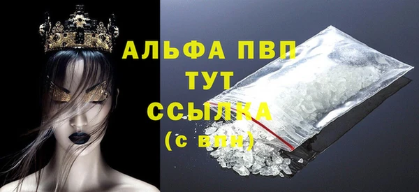 мдпв Инта