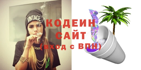 мдпв Инта