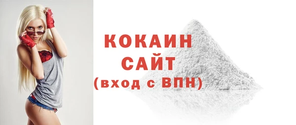 мдпв Инта