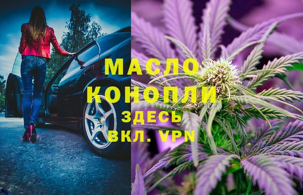 мдпв Инта