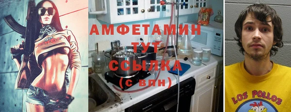 мдпв Инта