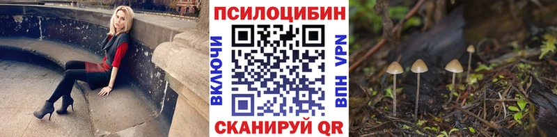 Купить где  Зеленодольск  Галлюциногенные грибы мицелий 